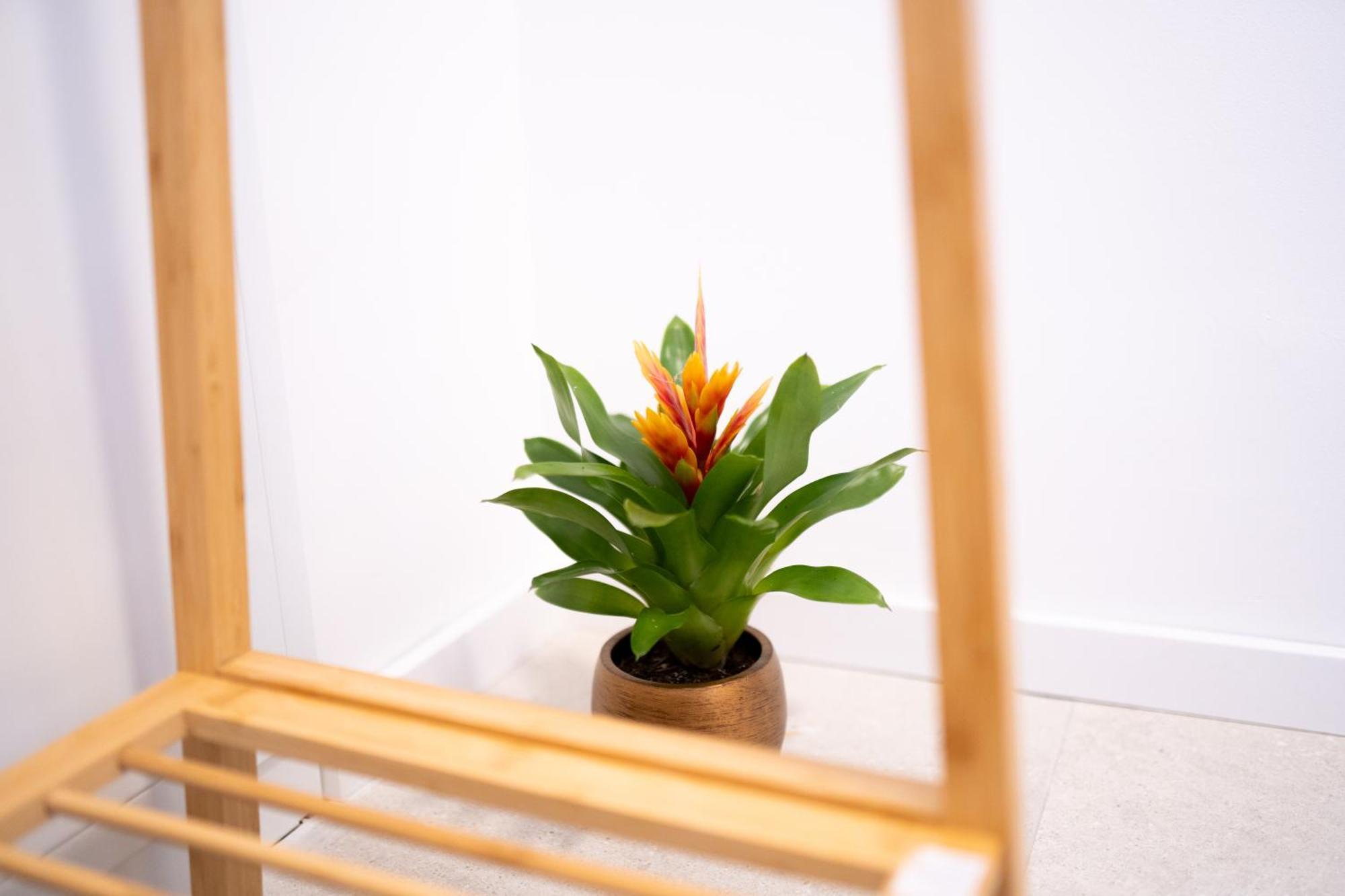 Stylish Modern With Terrace & Free Parking Appartement *